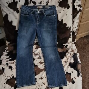 Nine West Vintage America Blue Denim Jeans, Size 8, Straight Leg, Boho.